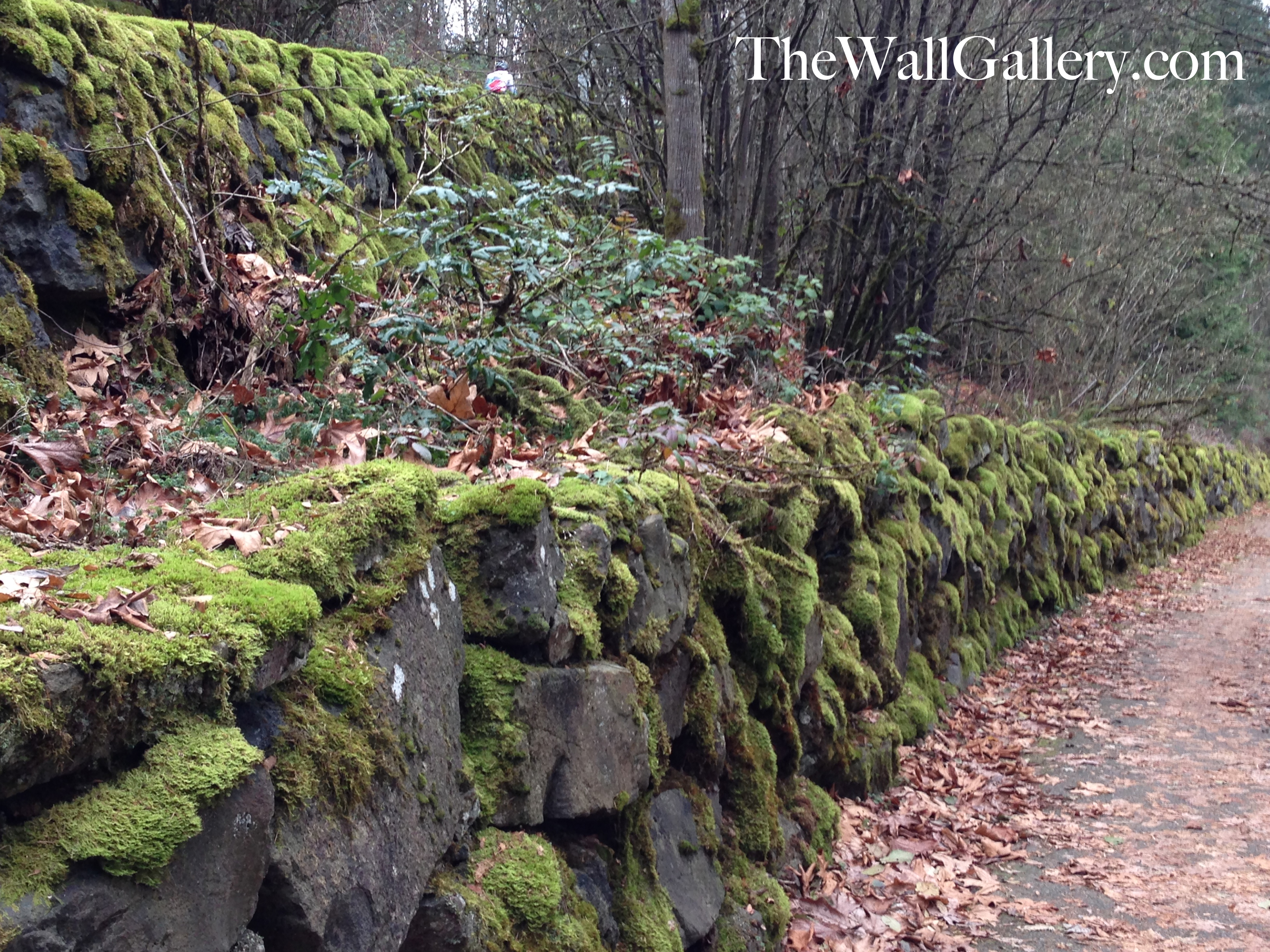 Close up of the Moss Rock Wall